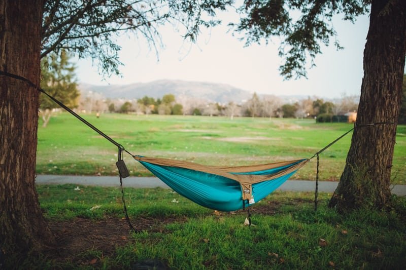 HAMMOCKS