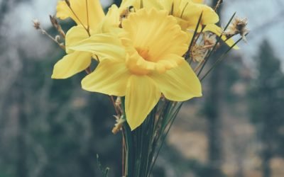 BOUQUET