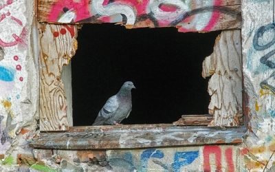 SILL