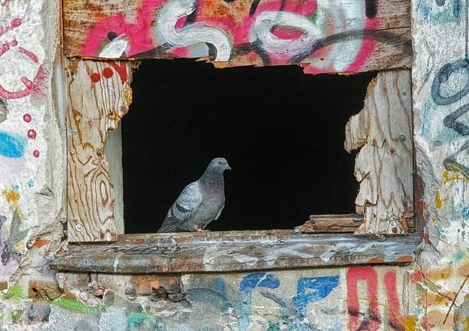 SILL