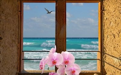 A PARTICULAR WINDOW