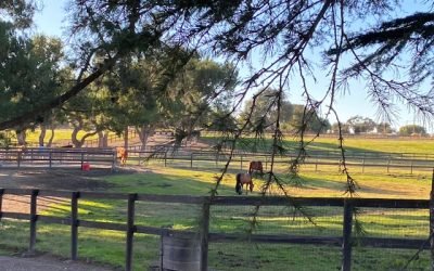 RANCH