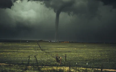 ARGUMENT WITH A TORNADO